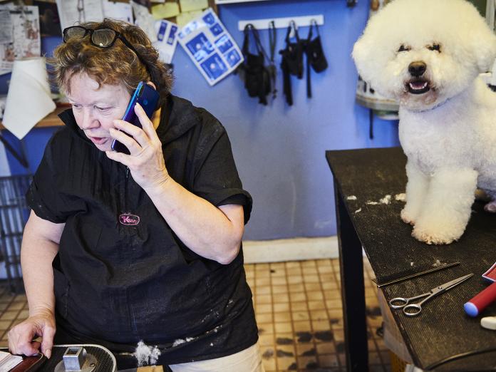 Indehaver af Alices Hundesalon i Nordvest