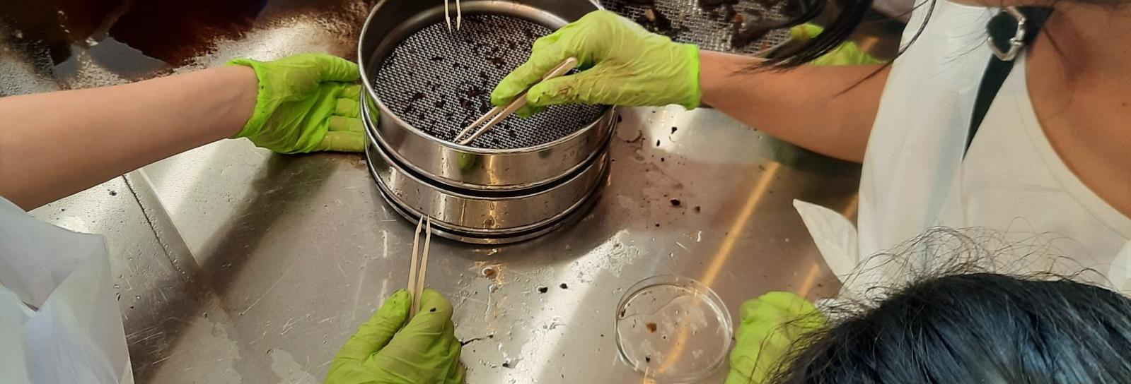 Undersøgelse af jordprøve